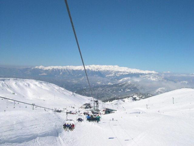 Alpen House Hotel & Suites Arachova Dış mekan fotoğraf